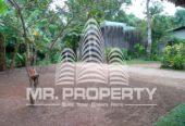 LAND FOR SALE JA ELA NIWANDAMA