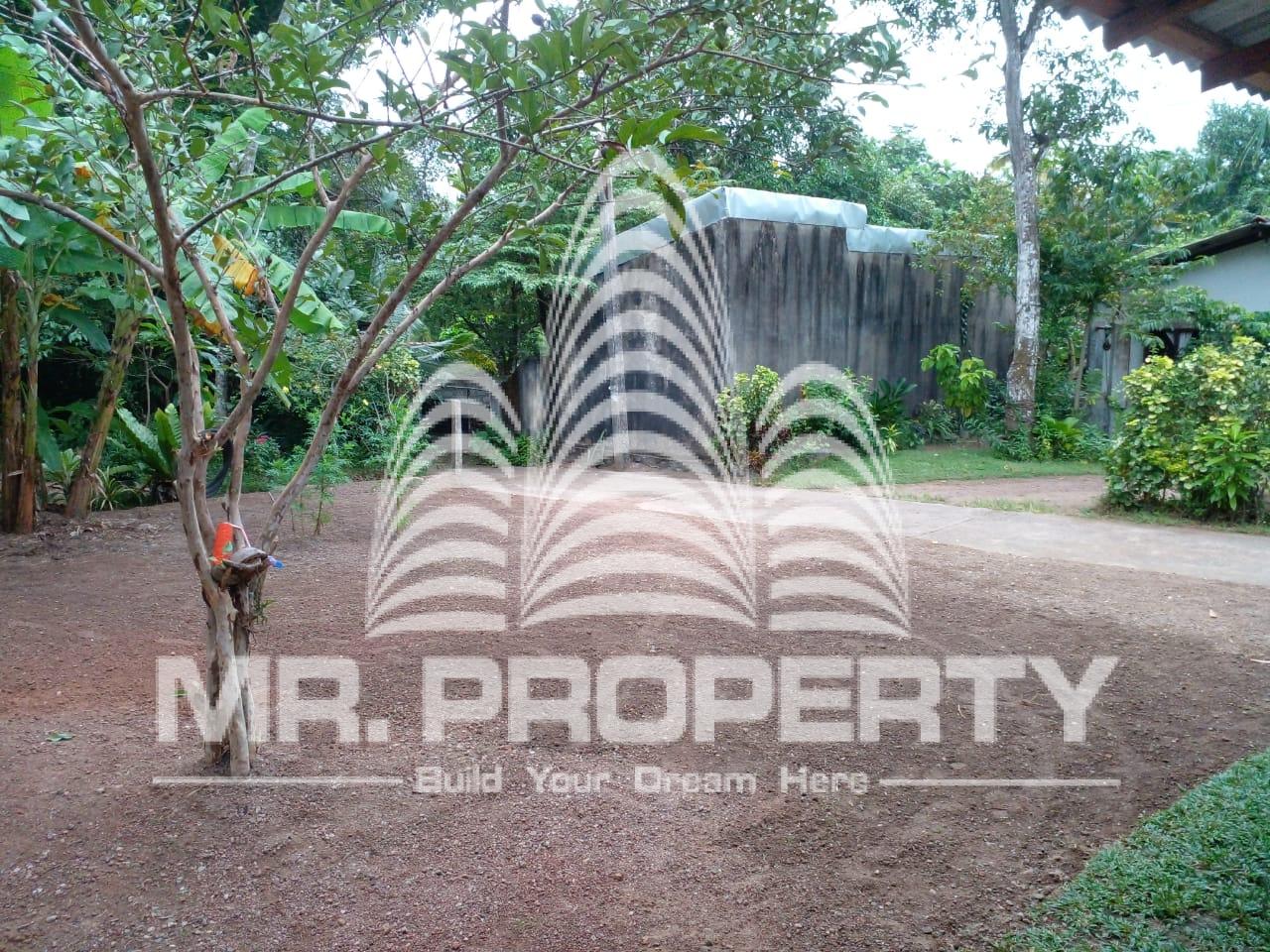 LAND FOR SALE JA ELA NIWANDAMA