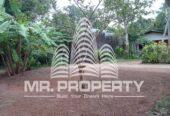 LAND FOR SALE JA ELA NIWANDAMA