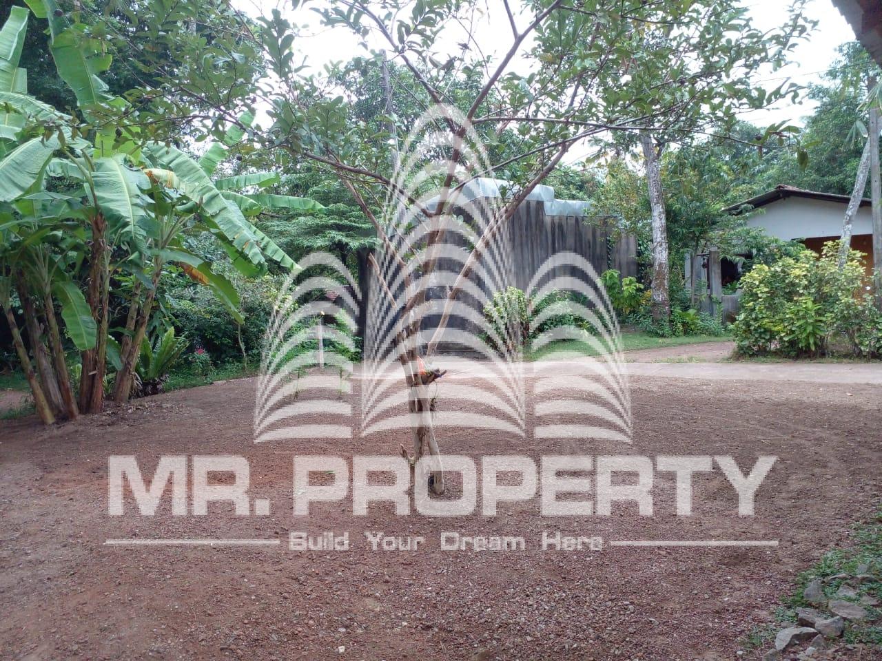 LAND FOR SALE JA ELA NIWANDAMA