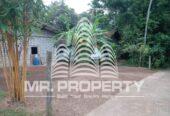 LAND FOR SALE JA ELA NIWANDAMA