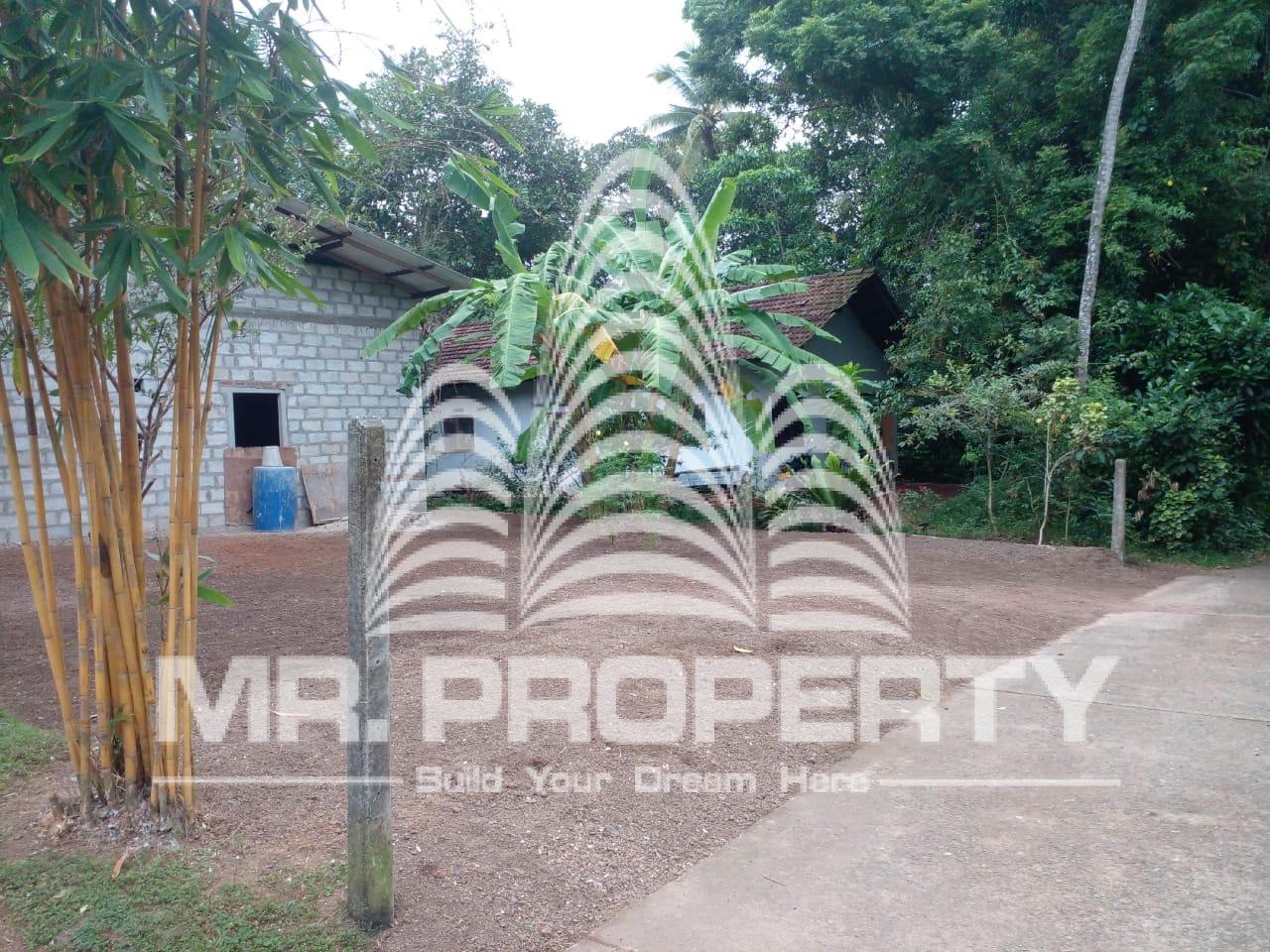 LAND FOR SALE JA ELA NIWANDAMA