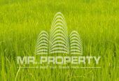 Land for sale galgamuwa
