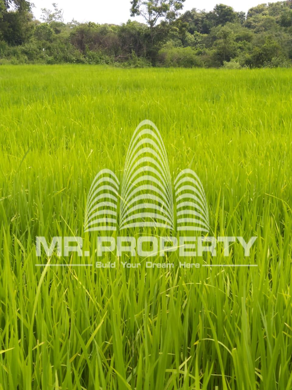 Land for sale galgamuwa
