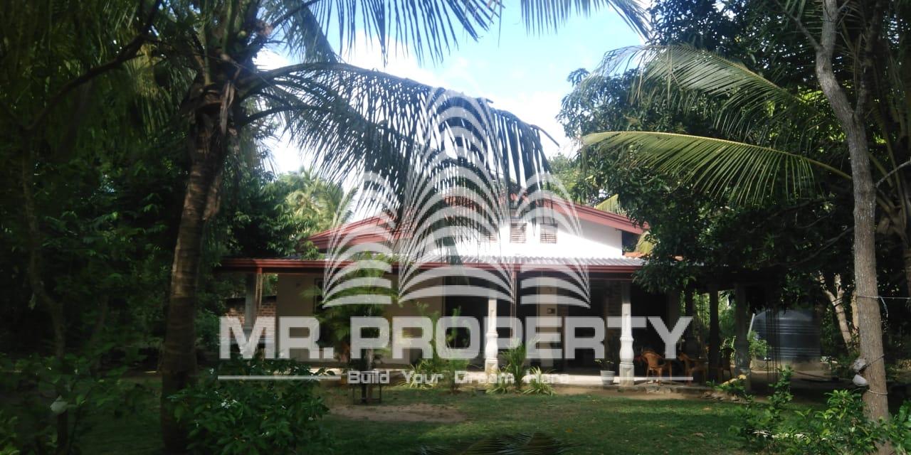Land for sale galgamuwa
