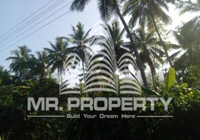 IMG-20250503-WA0034