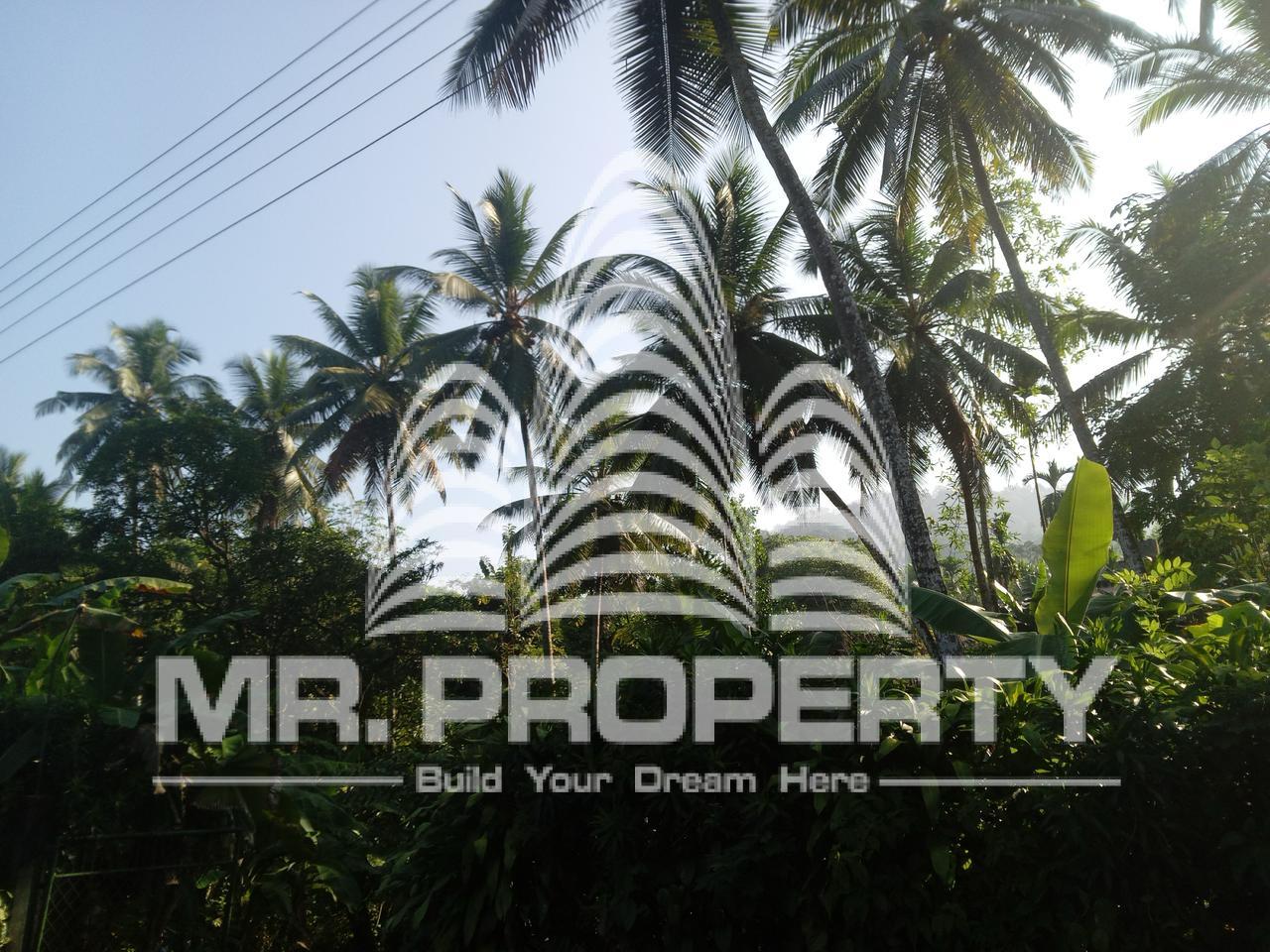 LAND FOR SALE DARANIYAGALA