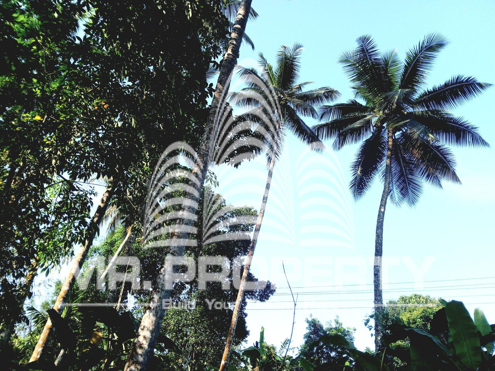 LAND FOR SALE DARANIYAGALA