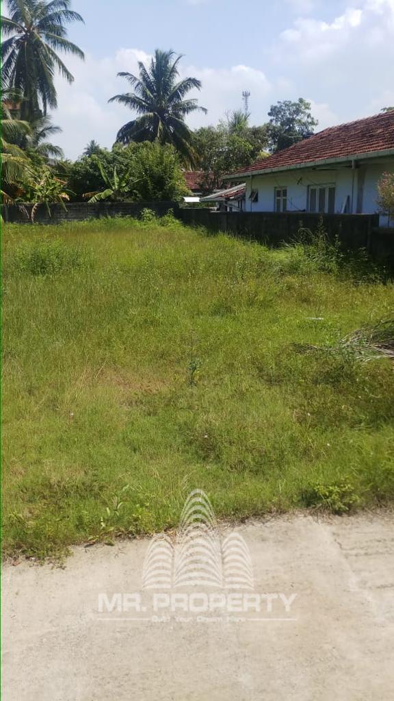 LAND FOR SALE NEGOMBO