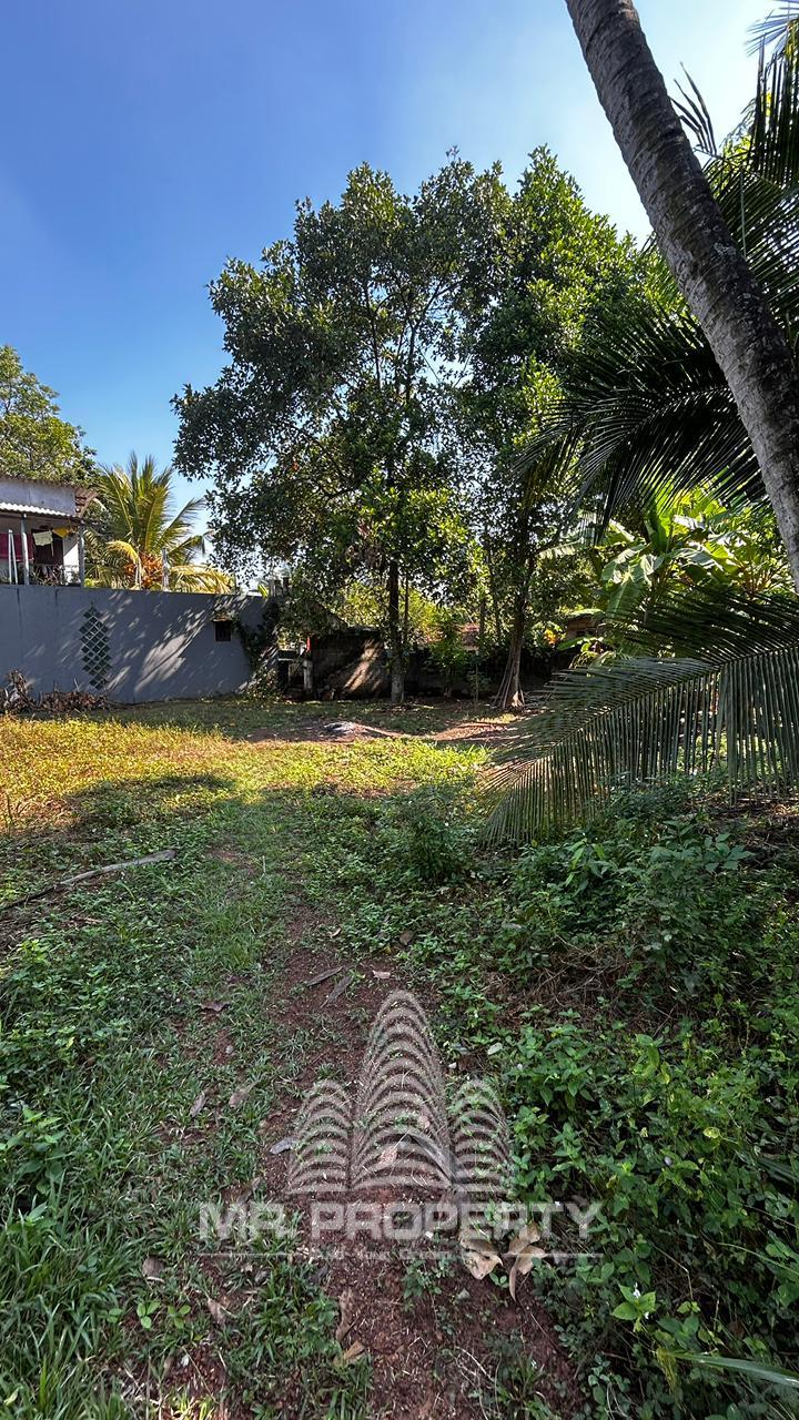 LAND FOR SALE KANDANA