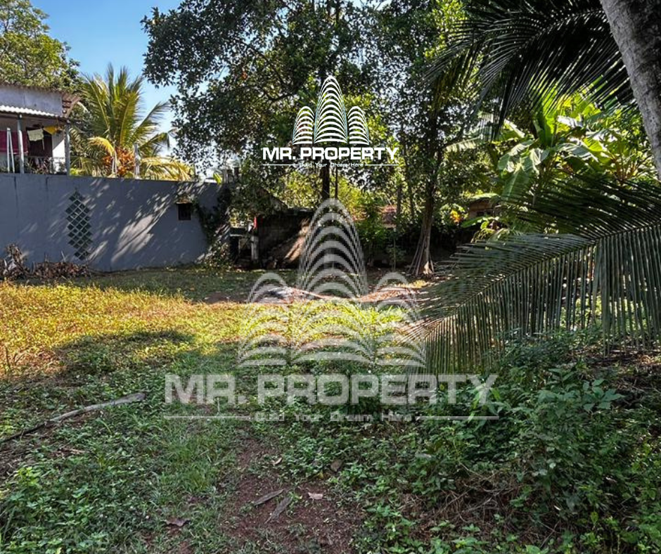LAND FOR SALE KANDANA