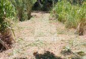 LAND FOR SALE GELIOYA