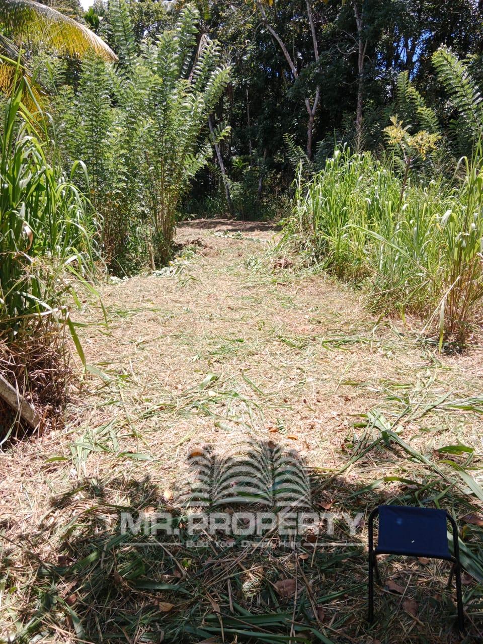 LAND FOR SALE GELIOYA