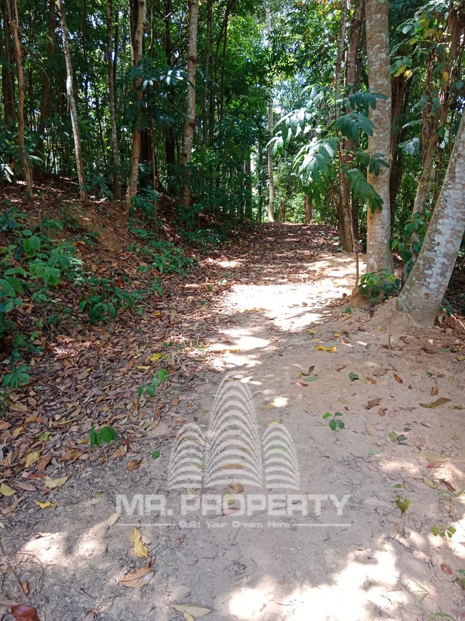 LAND FOR SALE GELIOYA