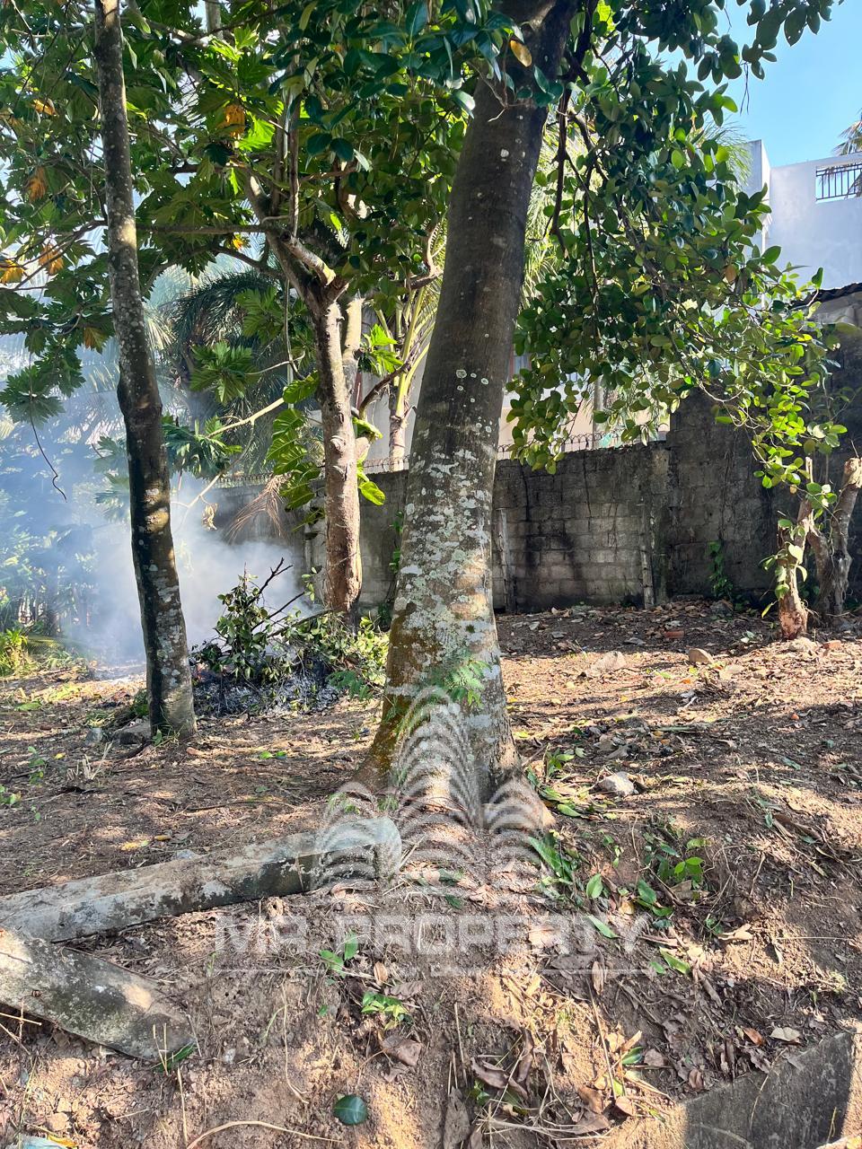 LAND FOR SALE MAKOLA