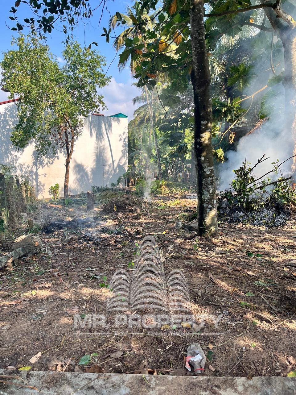 LAND FOR SALE MAKOLA