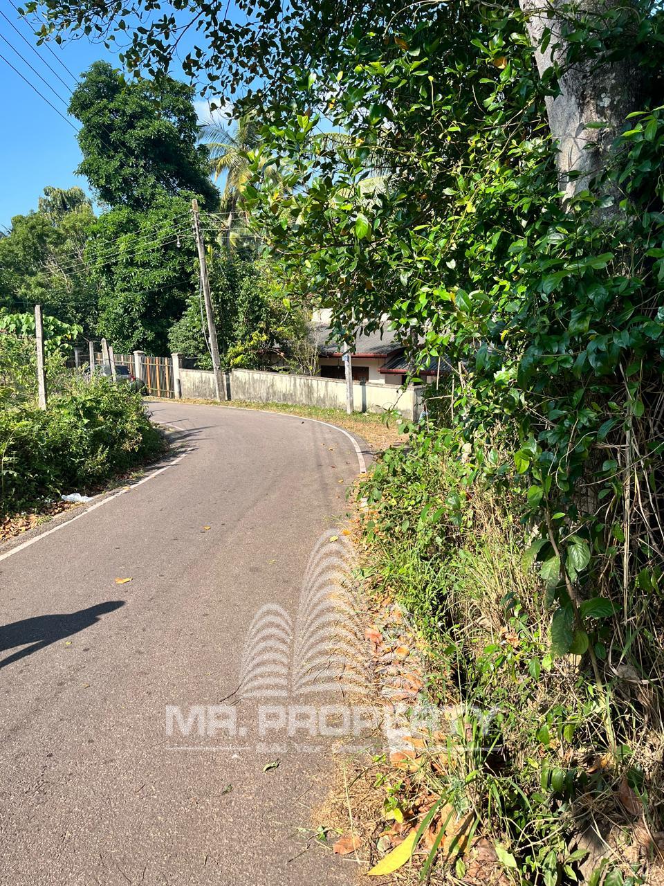 LAND FOR SALE MAKOLA