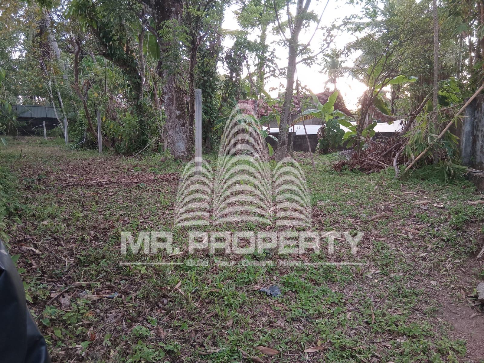 LAND FOR SALE YAKKALA