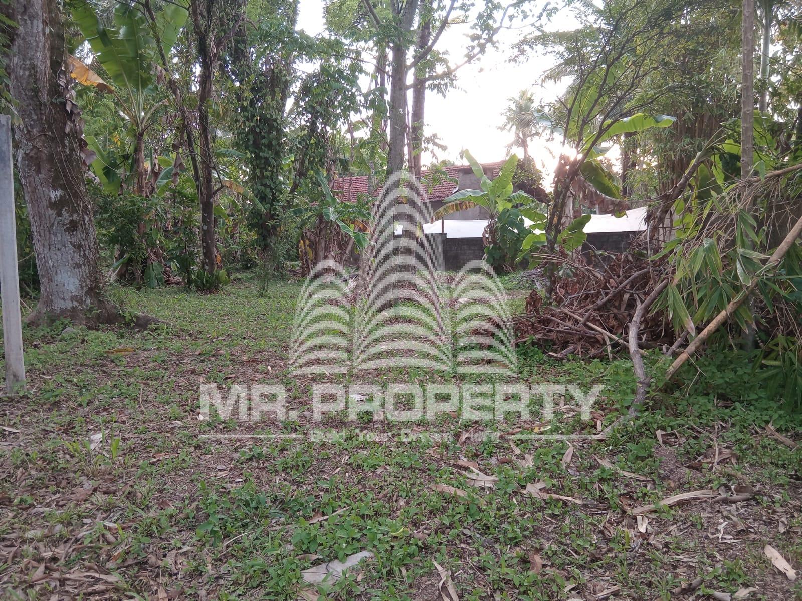 LAND FOR SALE YAKKALA