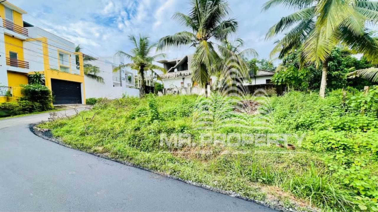 LAND FOR SALE GAMPAHA TOWN LIMIT