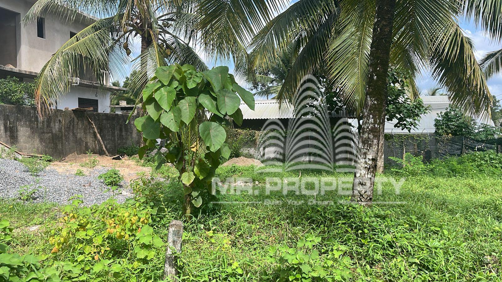 LAND FOR SALE GAMPAHA TOWN LIMIT
