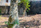 Land For Sale Kiribathgoda