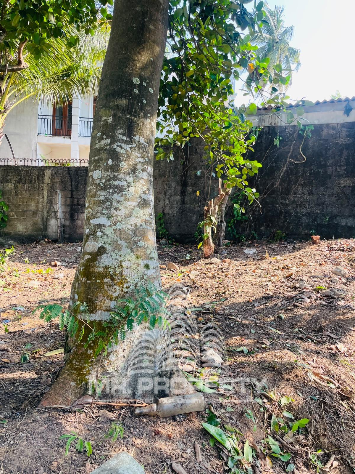 Land For Sale Kiribathgoda