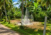 Land For Sale Divlapitiya