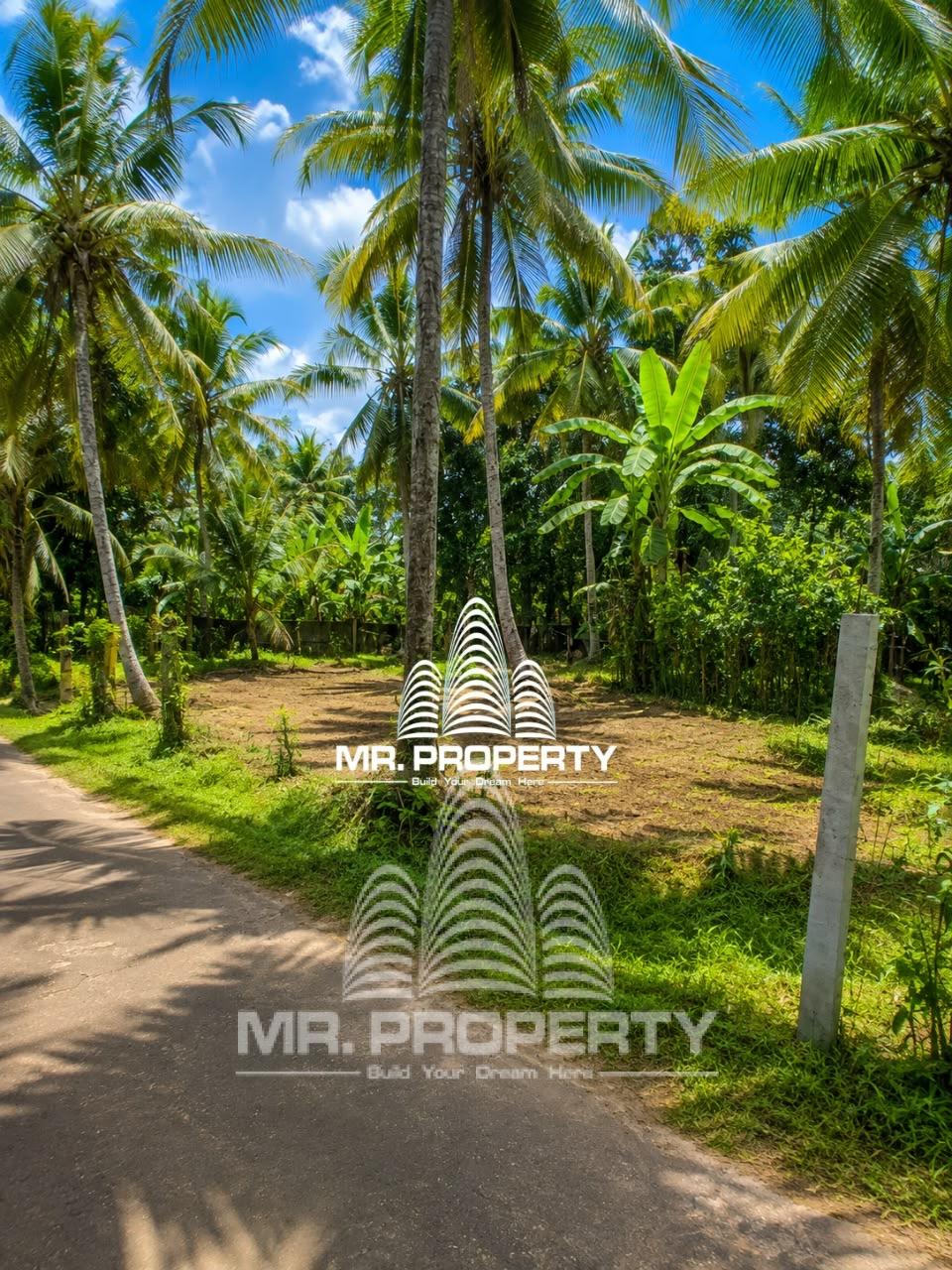 Land For Sale Divlapitiya