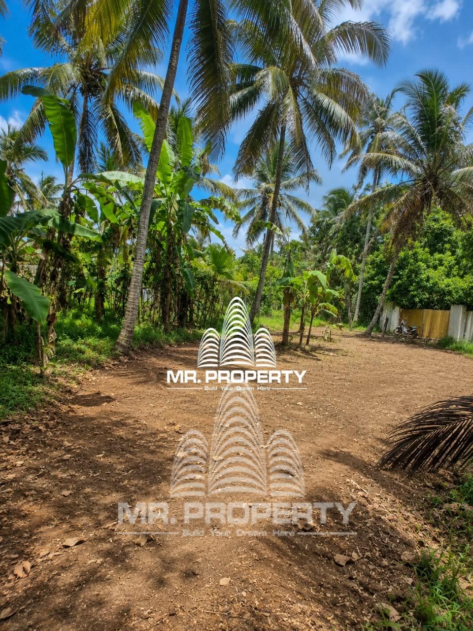 Land For Sale Divlapitiya