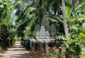 Land For Sale Divlapitiya