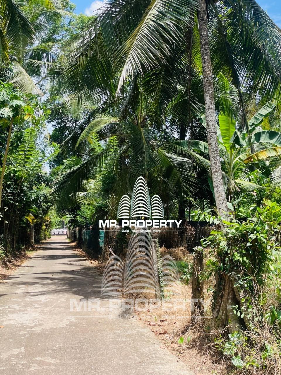 Land For Sale Divlapitiya