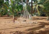 LAND FOR RENT GAMPAHA