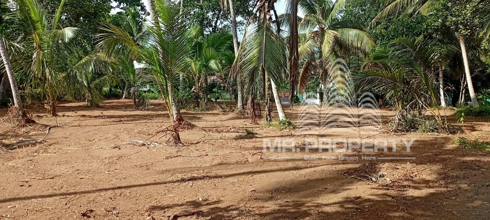 LAND FOR RENT GAMPAHA