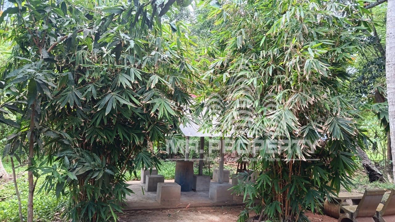 LAND AND HOUSE FOR SALE