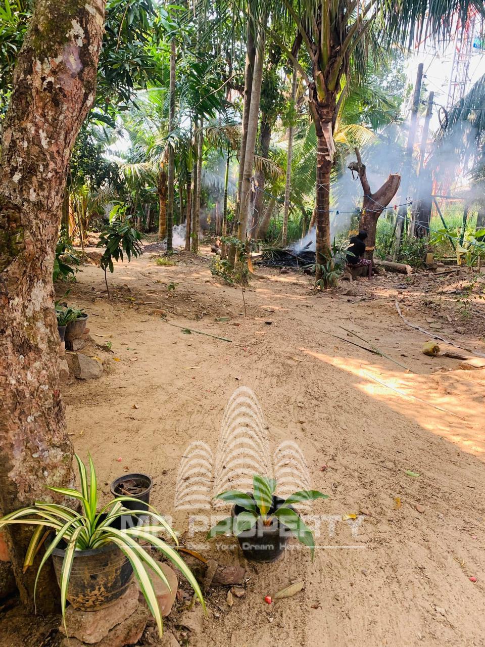 LAND FOR SALE KELANIYA PETHIYAGODA