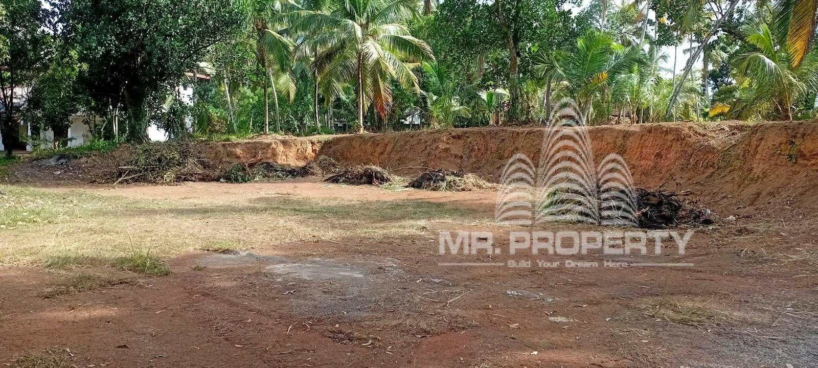 LAND FOR RENT GAMPAHA
