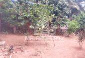 LAND FOR SALE RAGAMA TEWATHTHA