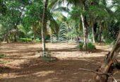 LAND FOR RENT GAMPAHA