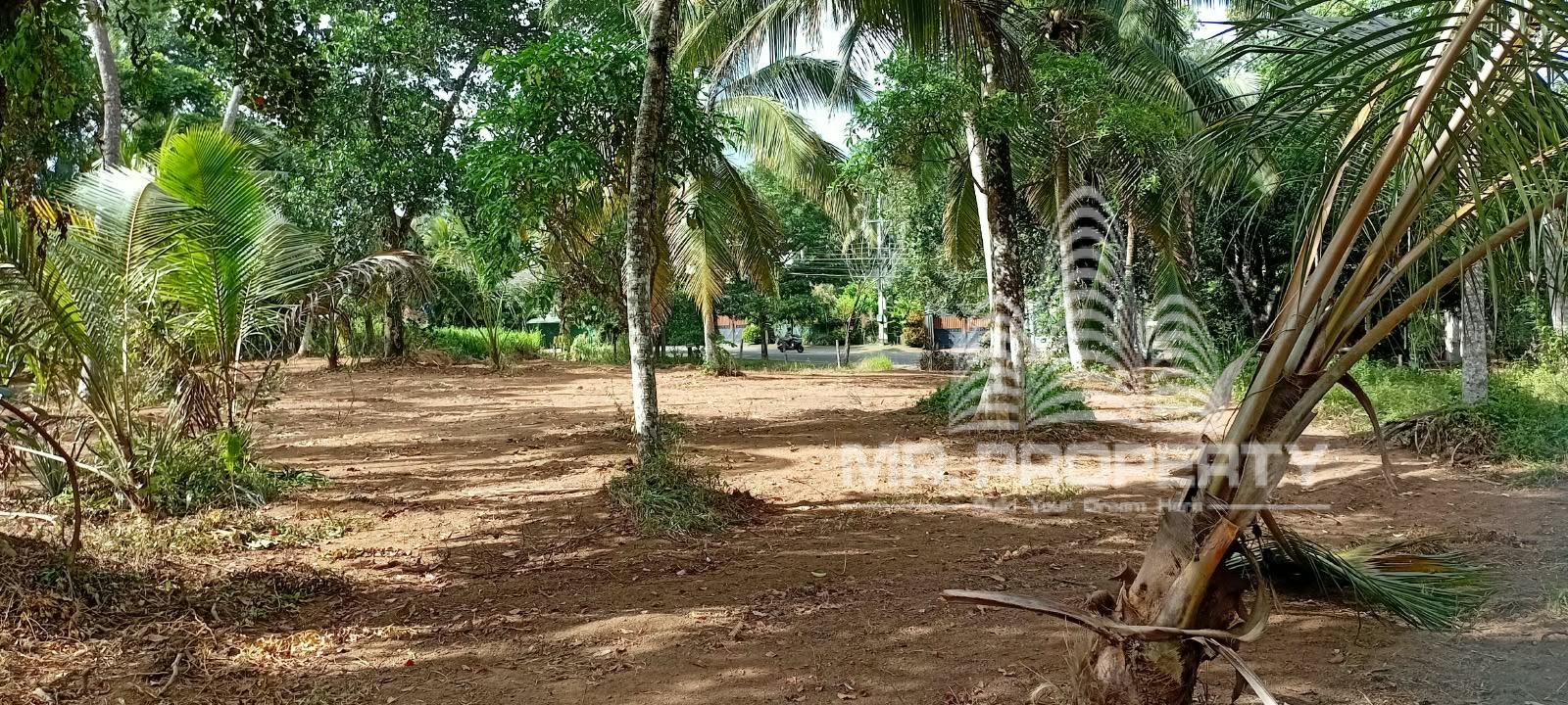 LAND FOR RENT GAMPAHA