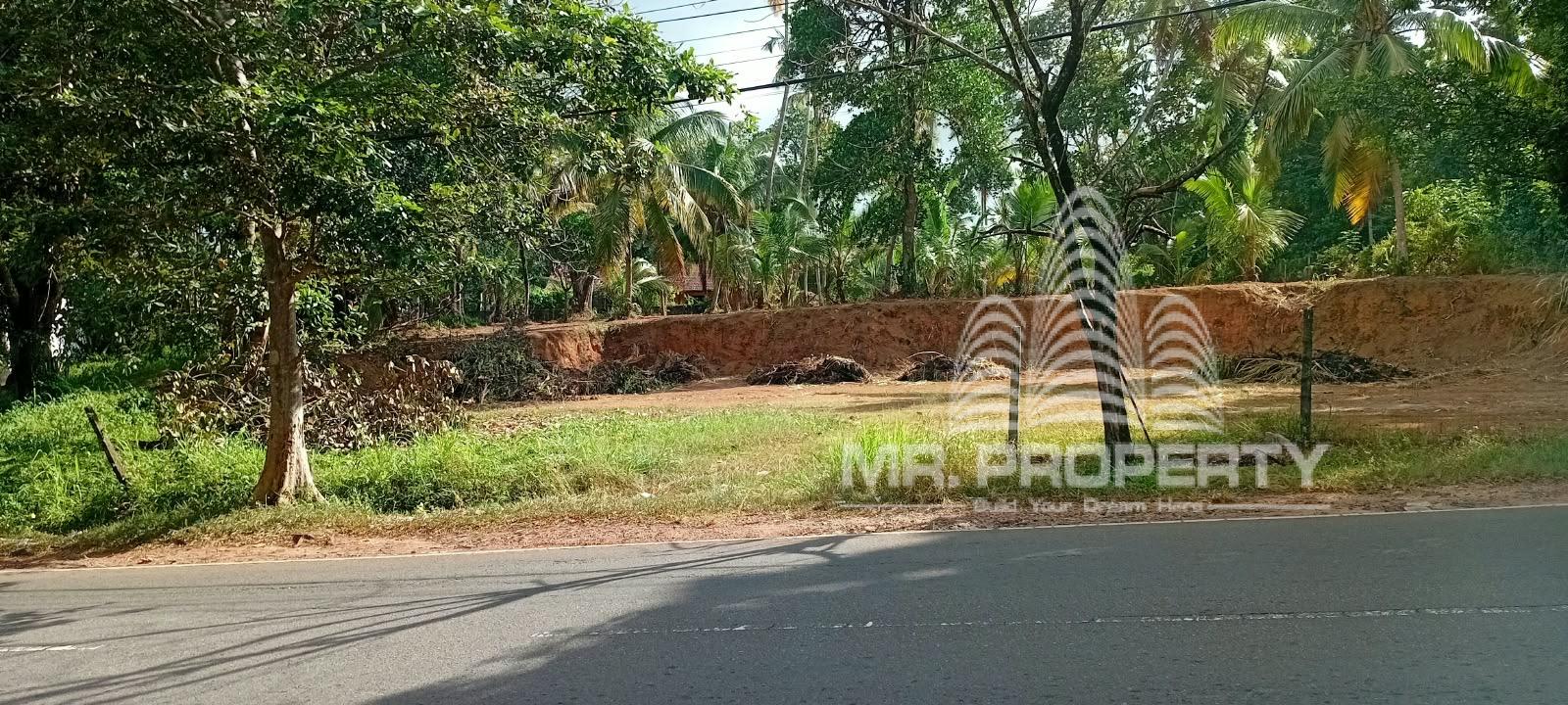 LAND FOR RENT GAMPAHA