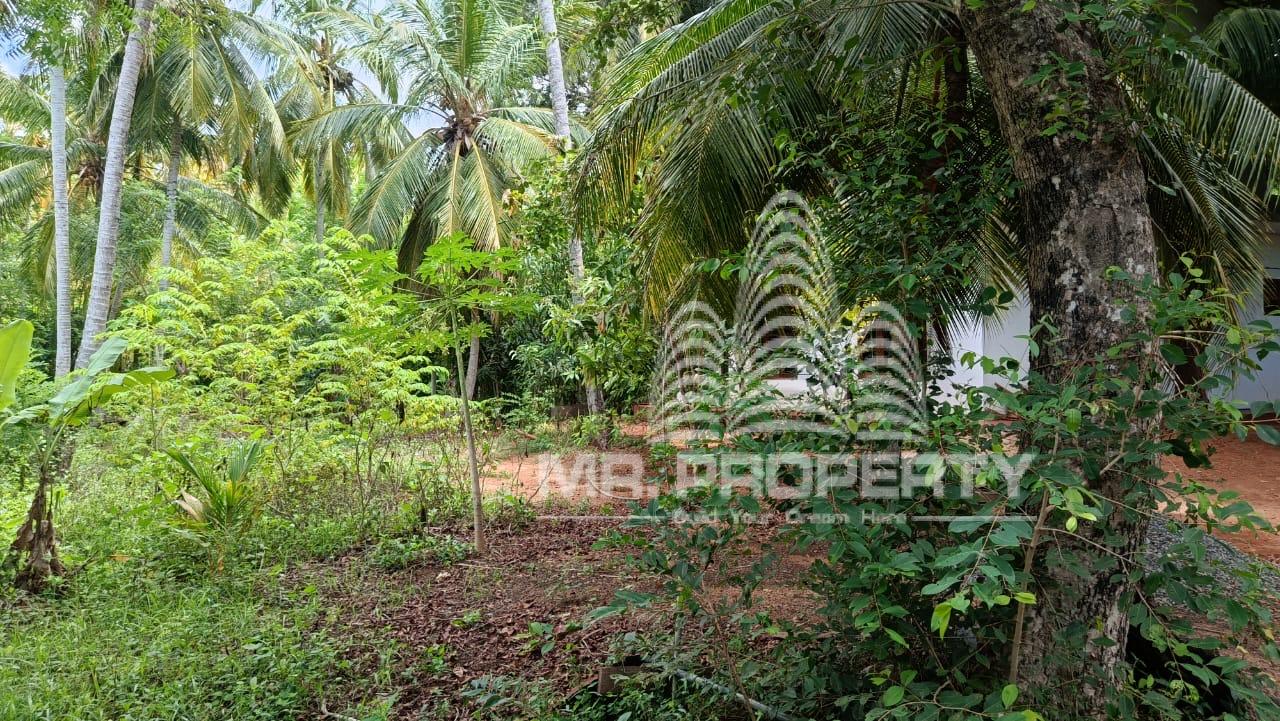 LAND AND HOUSE FOR SALE